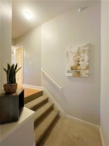 New carpet on entry stairs.