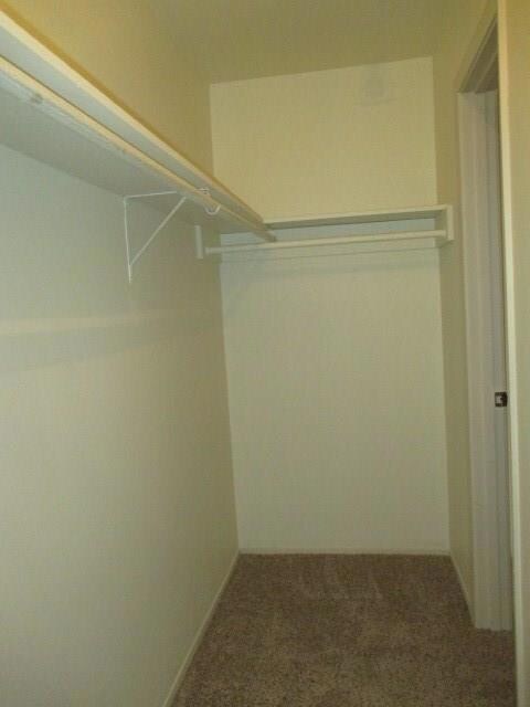 Spacious closet with carpet