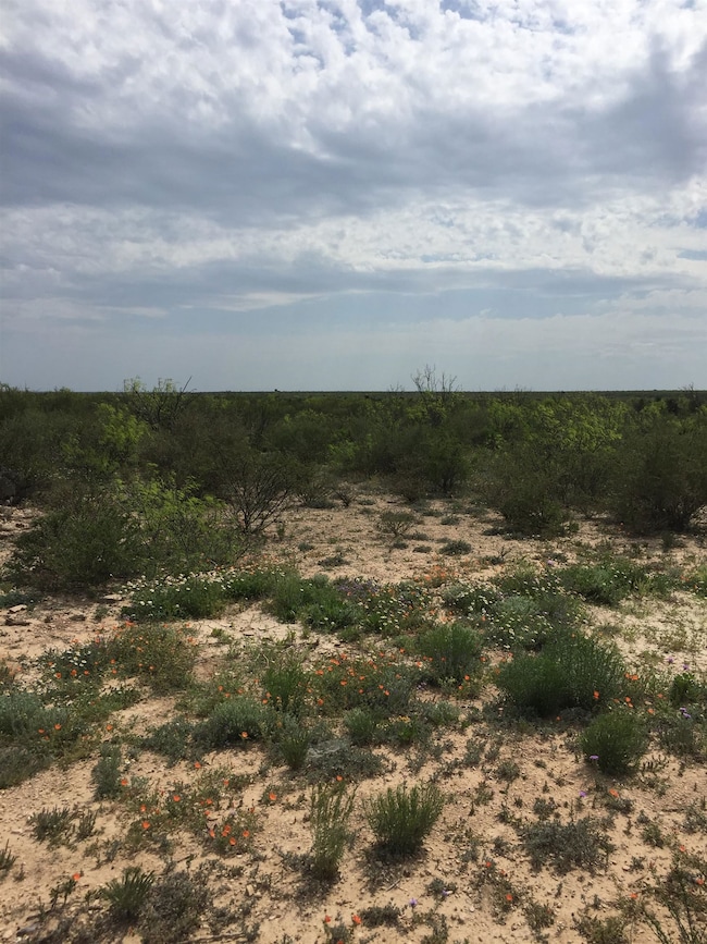 RR 1865 unit RR 1865 (Pumpville), Comstock, TX 78837 - photo 7