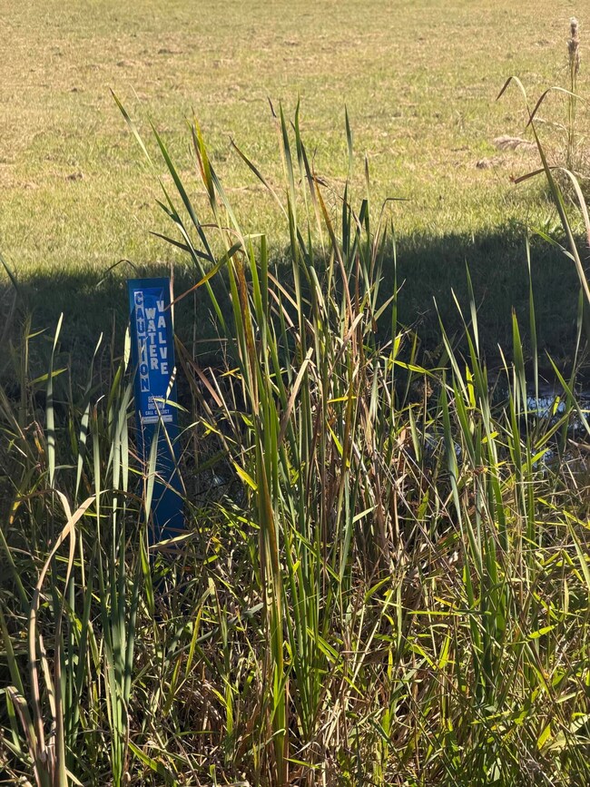 0 Cr7, Myrtle, MS 38650 - photo 3