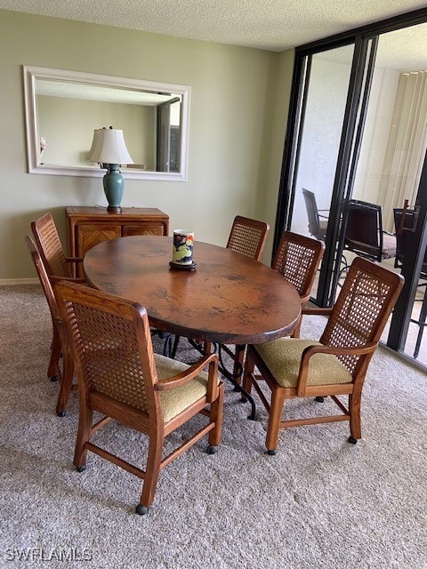 Carpeted dining space with a textured ceiling