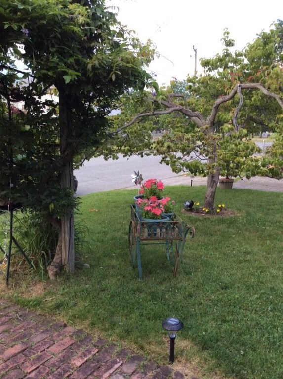FRONT YARD