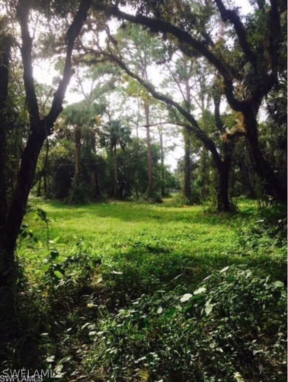 18821 Palm Beach Blvd, Alva, FL 33920 - photo 5