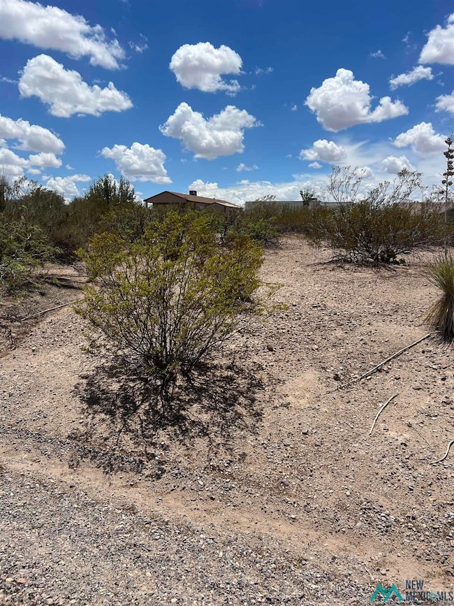 100 Idaho Ct, Elephant Butte, NM 87935 - photo 2