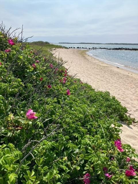 Near By Beach