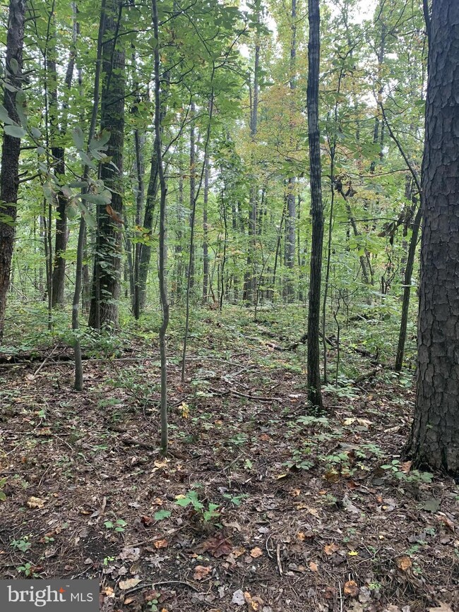 0 Varzara Rd, Marshall, VA 20115 - photo 6