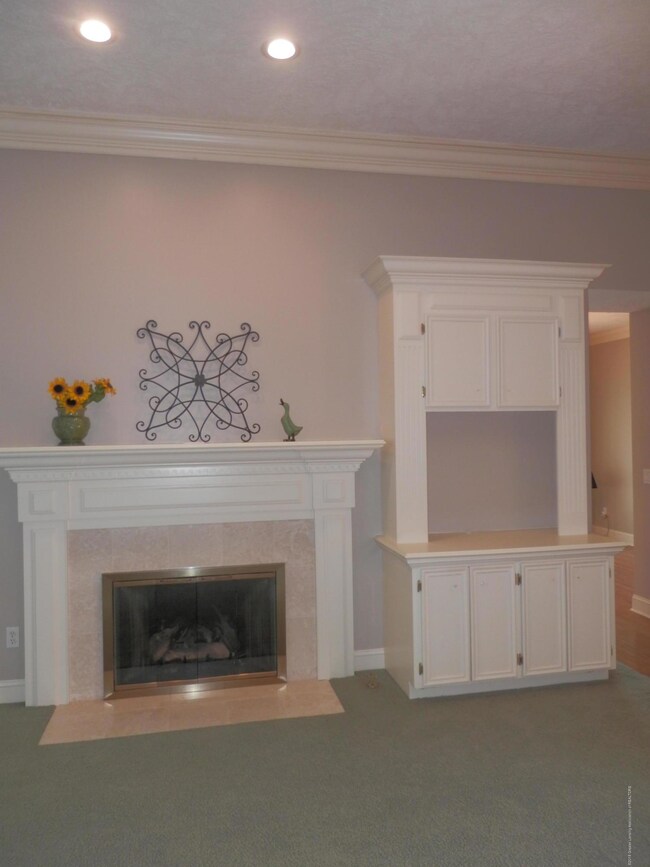 Gas fireplace/built ins