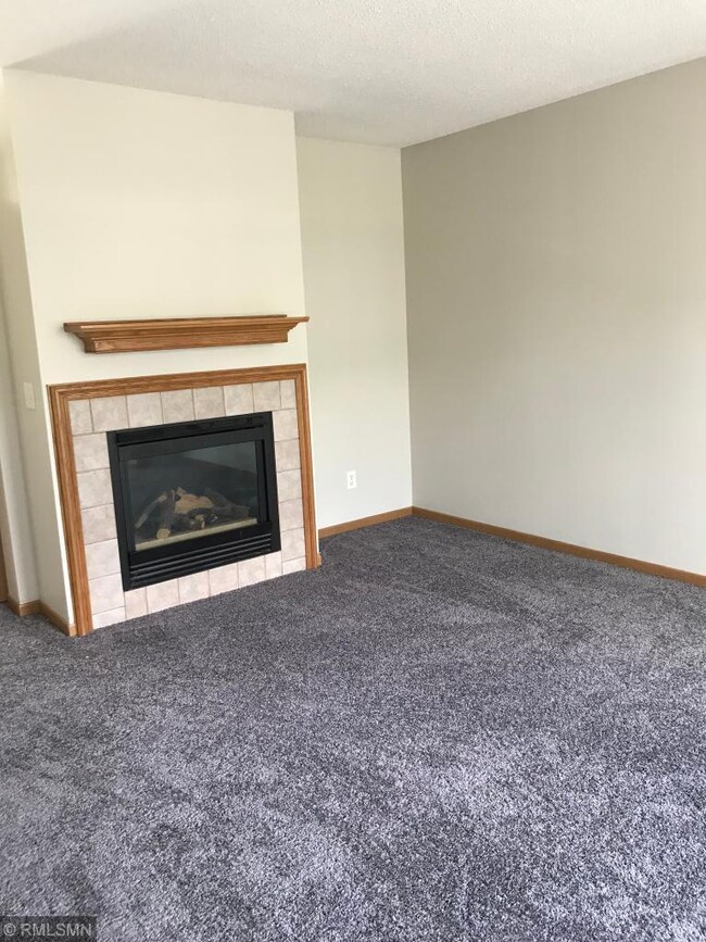 Fireplace in the living room