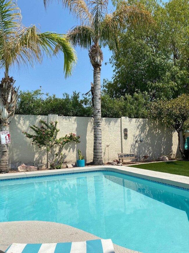 Recla palms