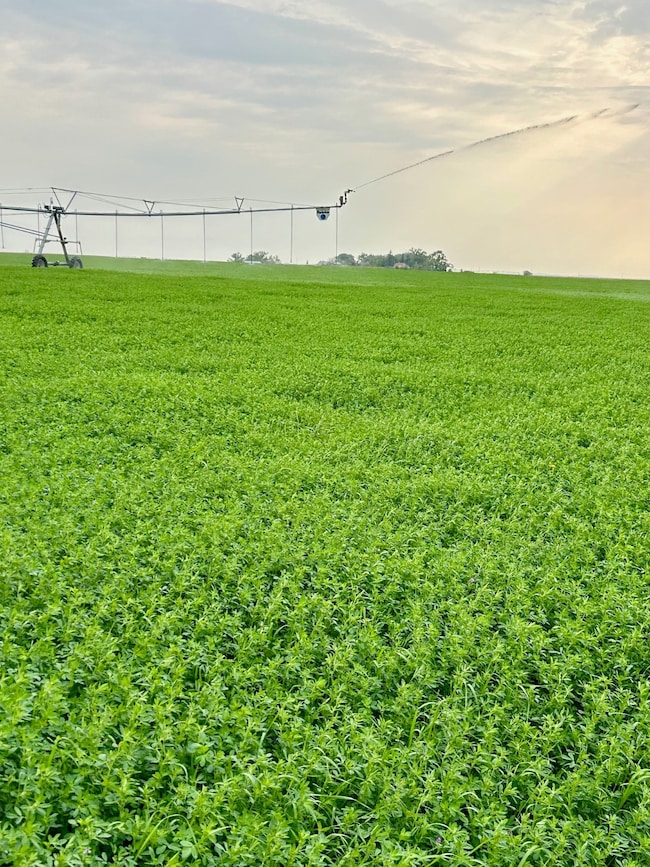 NHN 12th Ln NE, Fort Shaw, MT 59443 - photo 4