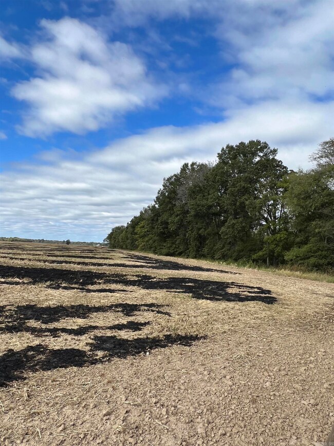 849 Cr 206, Peach Orchard, AR 72453 - photo 7