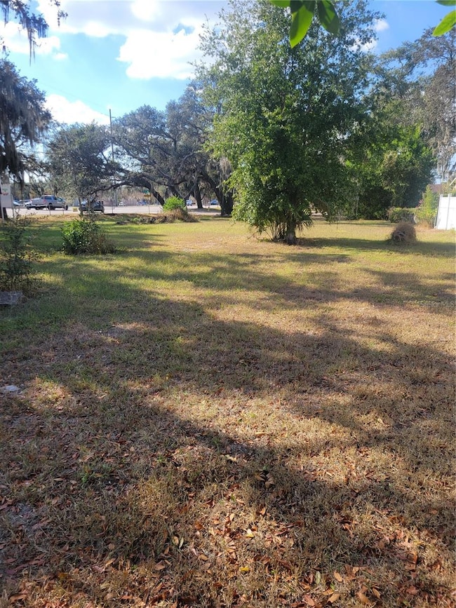 0 Bloomingdale Ave, Riverview, FL 33578 - photo 4