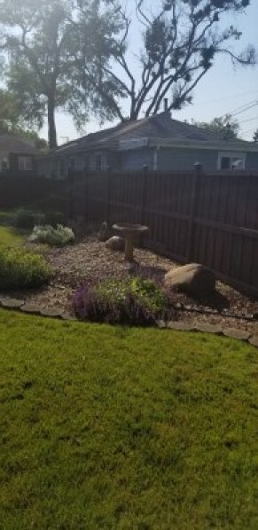Yard/Garden