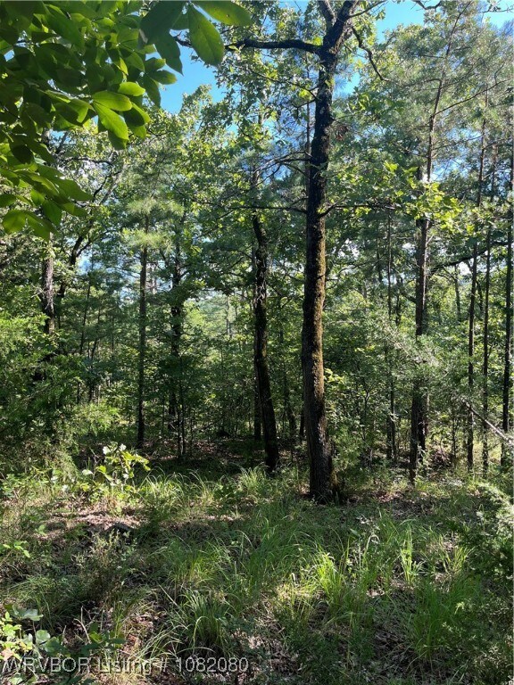 Tract 7 SE 1083rd Ave, Red Oak, OK 74563 - photo 7