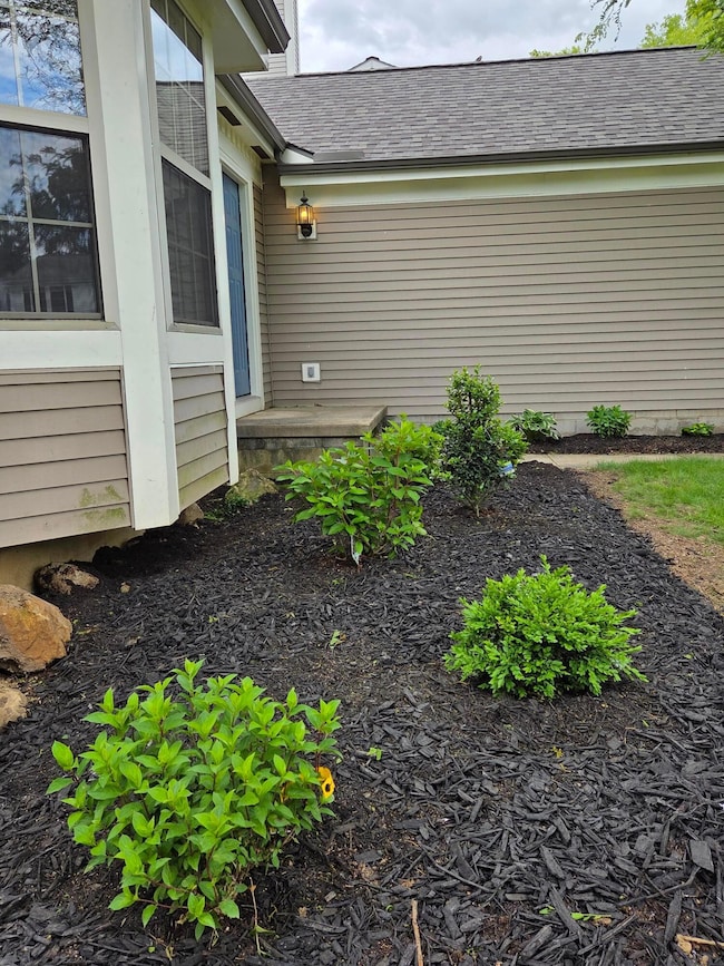 Landscaping Front yard