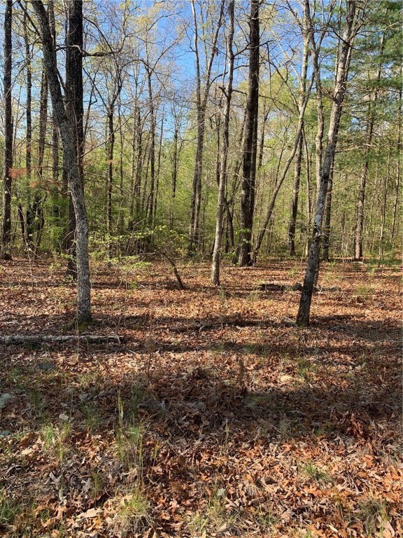 545 Flat Shoals Rd, Walhalla, SC 29691 - photo 4