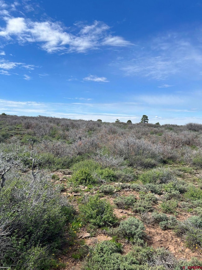 3 County Road C, Dove Creek, CO 81324 - photo 6