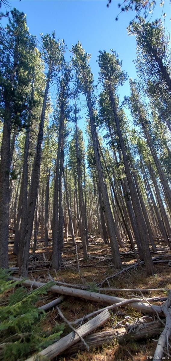 Lot 2682 & 2683 Purnell Ln unit 2682,2683, Fort Garland, CO 81133 - photo 3