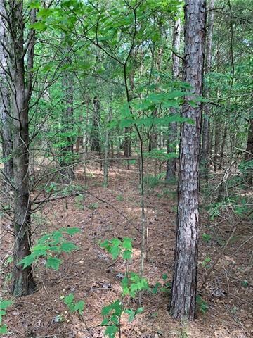 000 Strawberry Ln, Stanfield, NC 28163 - photo 2