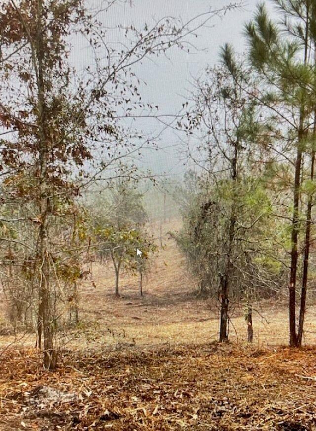 Tract D Marshall Mill Rd, Powersville, GA 31008 - photo 3