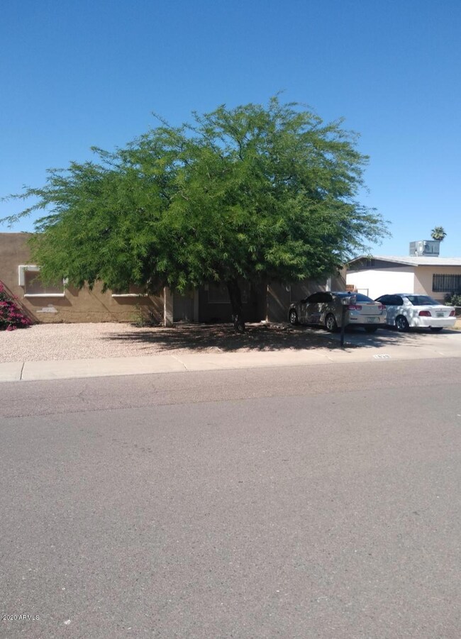 Front yard