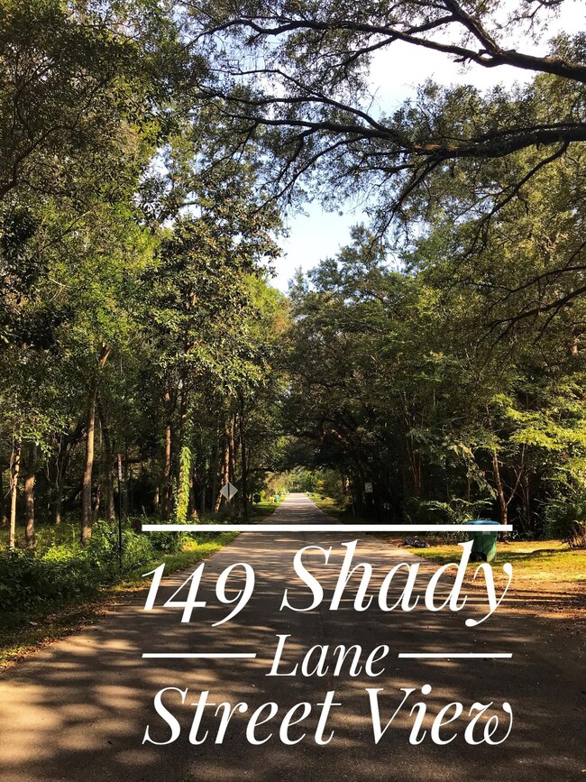Shady 3