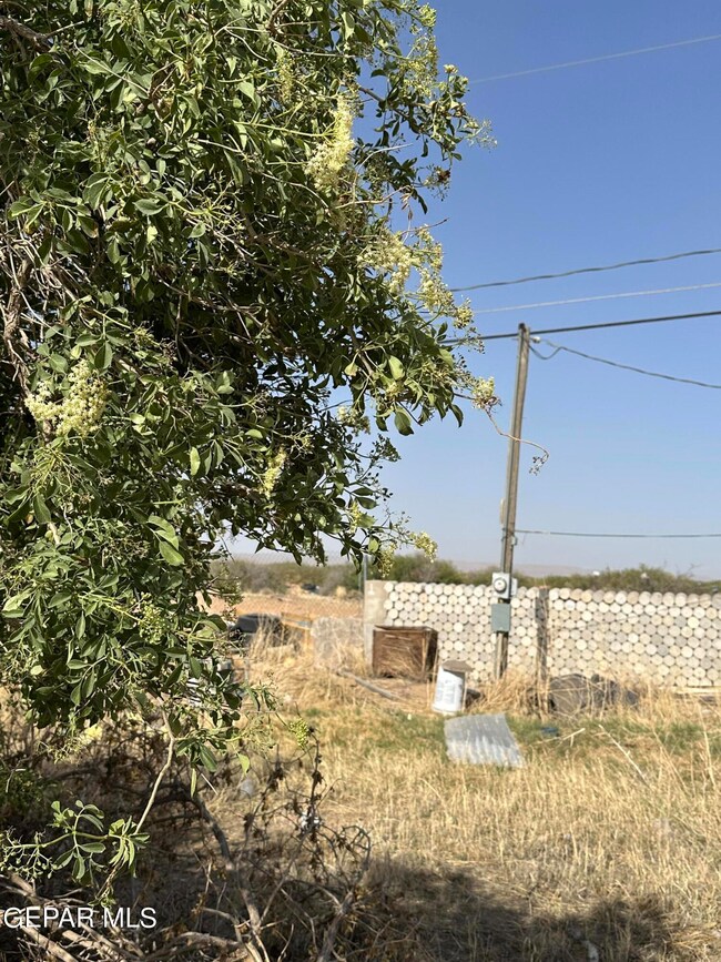 724 Blake Place, El Paso, TX 79928 - photo 4