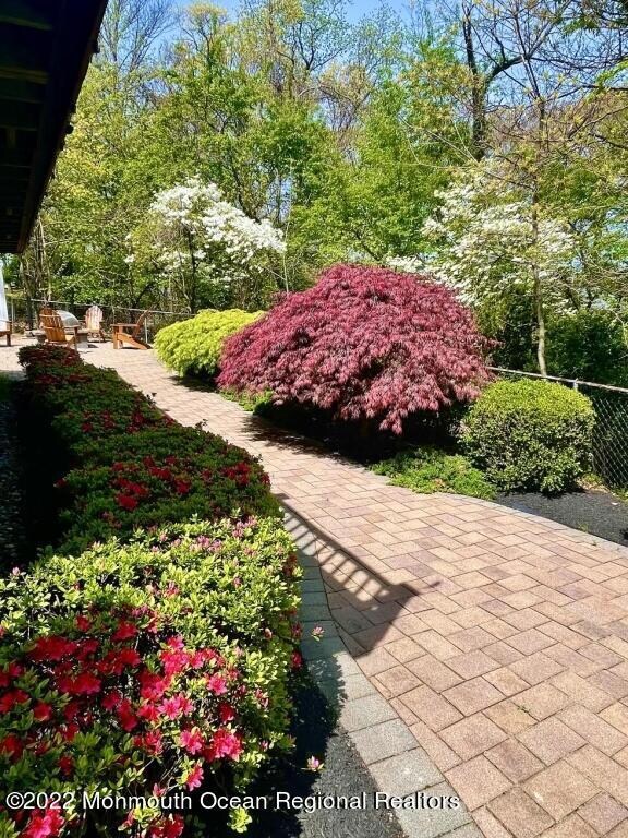 07-Backyard