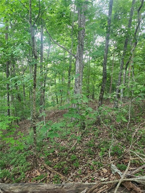 932 Apex Ct, Ranger, GA 30734 - photo 3