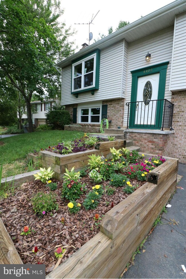 4402 Vantage Ct, Alexandria, VA 22306 - photo 2