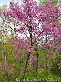 0 Orchard Rd unit 202109913, Charlestown, IN 47111 - photo 5