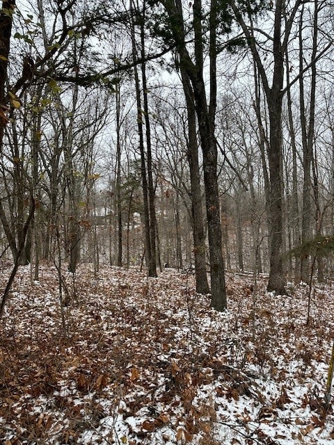 Lot 16 Saxilby Ln, Bella Vista, AR 72715 - photo 6