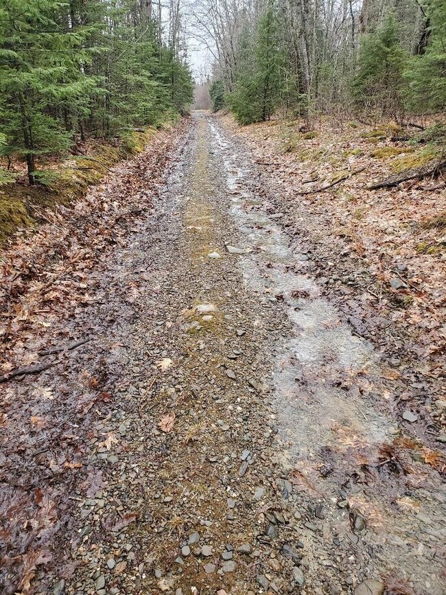 a little wet on Ryan Rd today