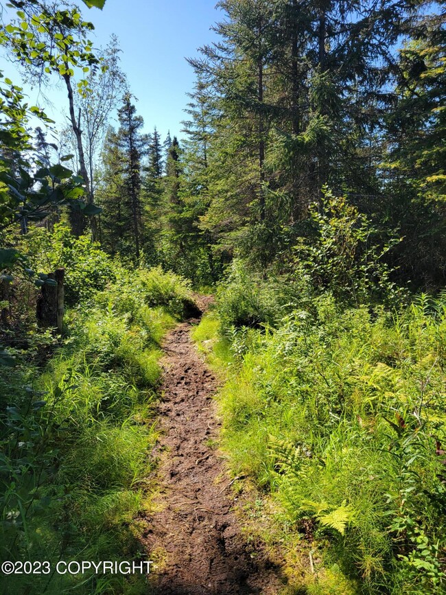 Tr 12 Tomski Ave, Anchor Point, AK 99556 - photo 5