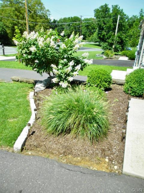 2223 S Dauphin St unit 3, Allentown, PA 18103 - photo 4