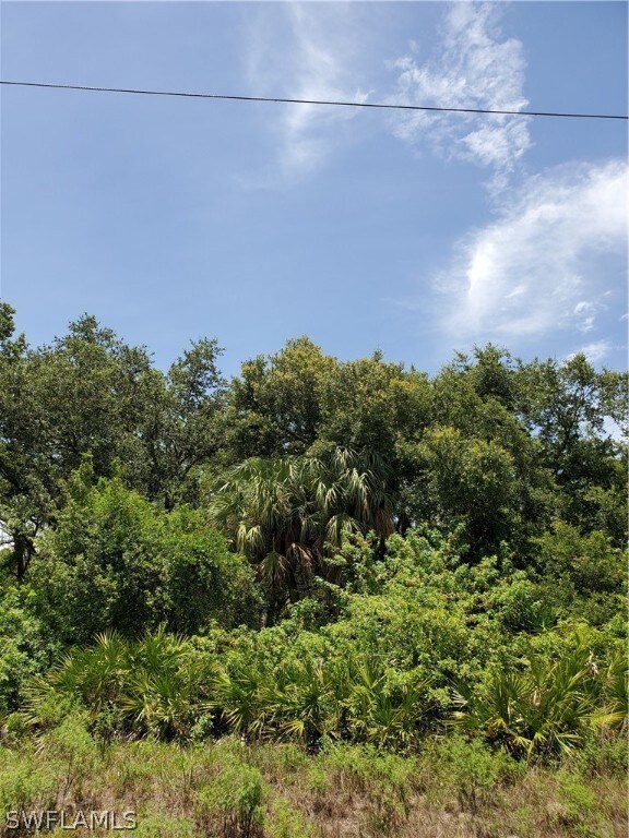 2903 E 18th St, Lehigh Acres, FL 33972 - photo 4