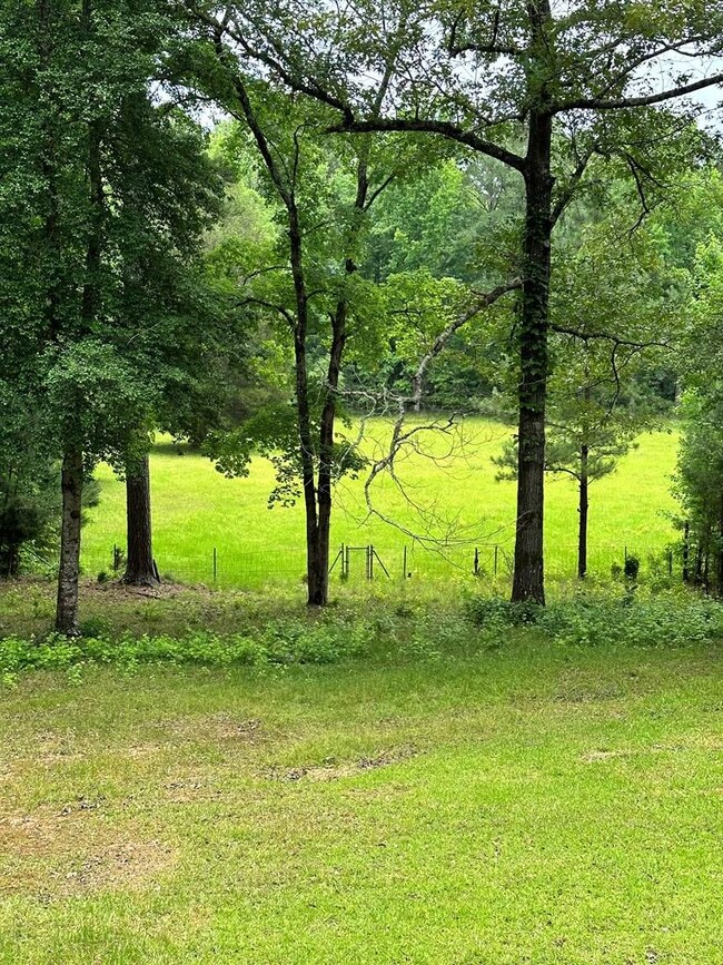 12200 County Line Rd, Midland, GA 31820 - photo 6