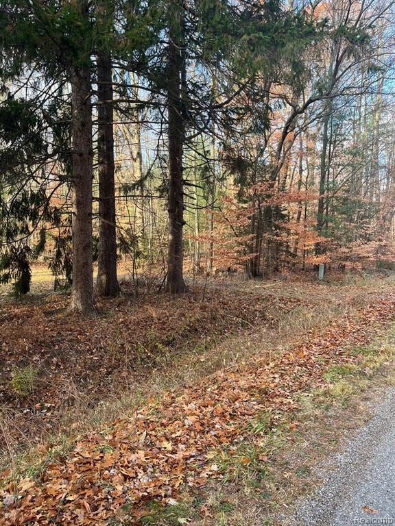 2311 Judson Rd, Spring Lake, MI 49456 - photo 4