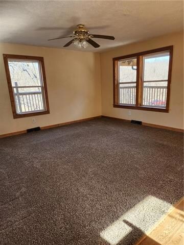 1st Bedroom Downstairs