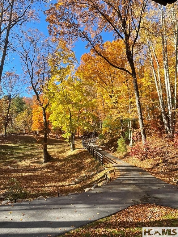67 Chimney Overlook Dr, Scaly Mountain, NC 28775 - photo 5