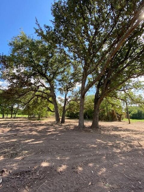 1231 County Road 4130, Bonham, TX 75418 - photo 3