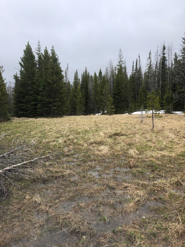 Tbd Peerless Jennie Rd unit 1, Clancy, MT 59634 - photo 2