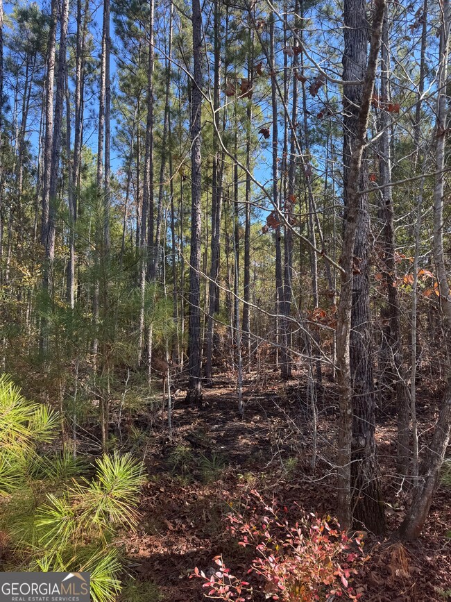 4527 Georgia 18, West Point, GA 31833 - photo 5