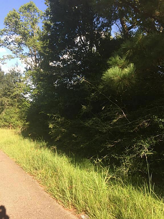 0 West Ln, Magnolia, TX 77354 - photo 3