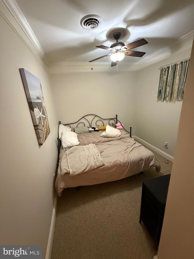 12001 Old Vine Blvd unit 305, Lewes, DE 19958 - photo 4