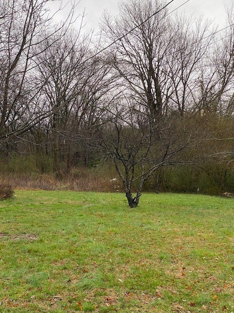 607 Moody St, Shelbyville, TN 37160 - photo 3