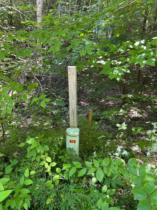 103 Vogel Rd, Raymond, ME 04071 - photo 5