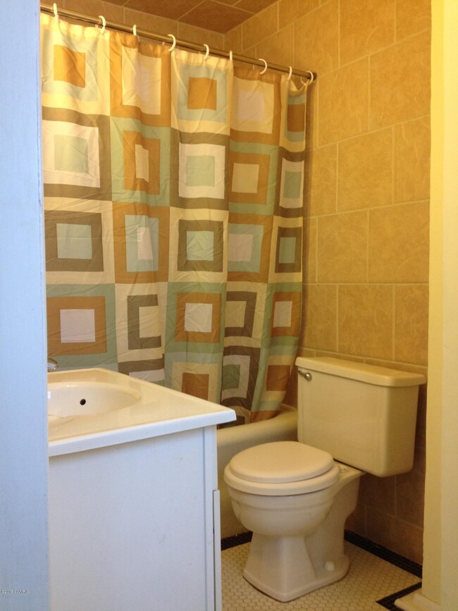 502 N Hudson St, Lowell, MI 49331 - photo 7