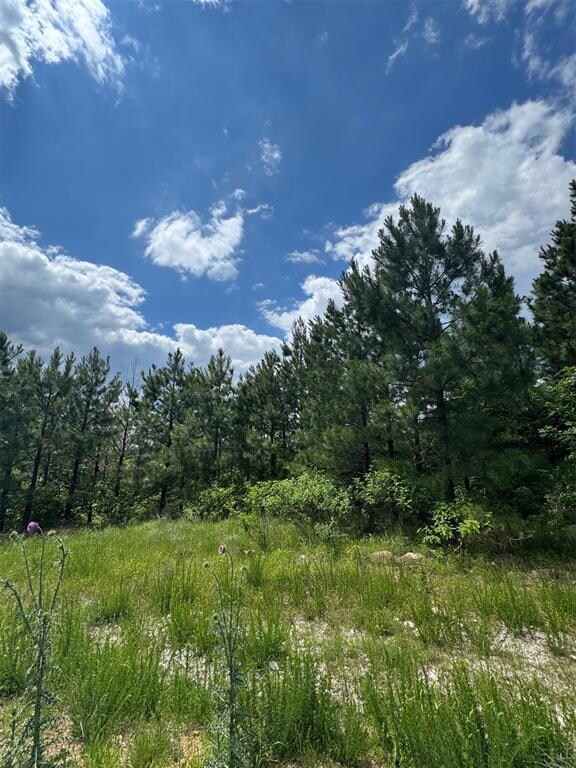 75 Sliding Hill Trail, Broken Bow, OK 74728 - photo 6