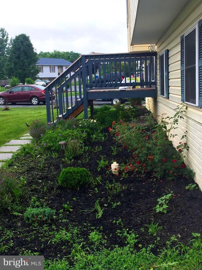 273 Wise Ave, Strasburg, VA 22657 - photo 2